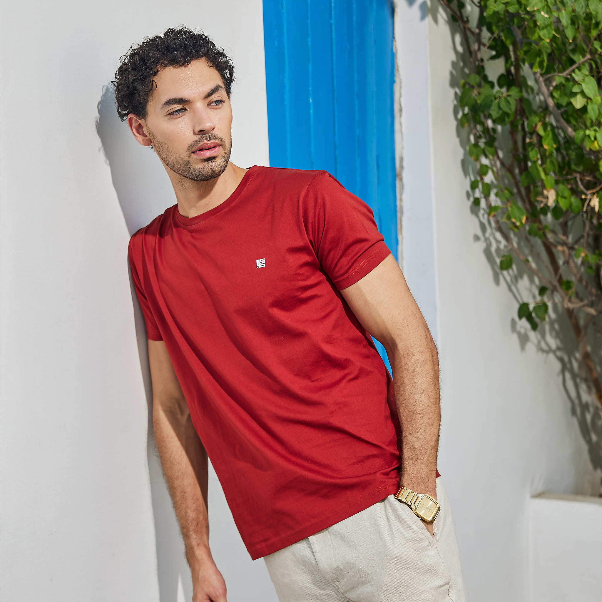 Chilli Red Solid Crew Neck Tshirt